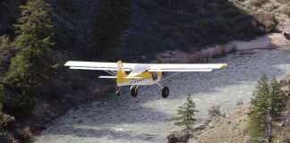 Backcountry Fox