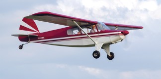 Bearhawk LSA