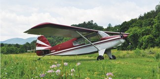 Bearhawk LSA