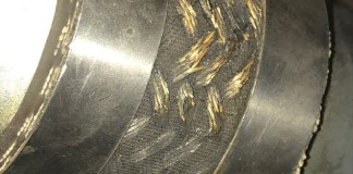 Brittle Hose