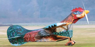 When the Rooster Flies