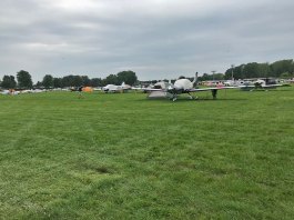 Thinning The Herd