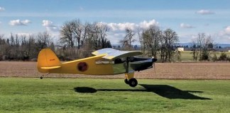 Building the Bearhawk LSA
