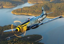 ScaleWings SW-51 Mustang