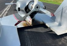 RAFE’s Lady Vi VariViggen Update