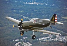 ScaleBirds P-36 Hawk