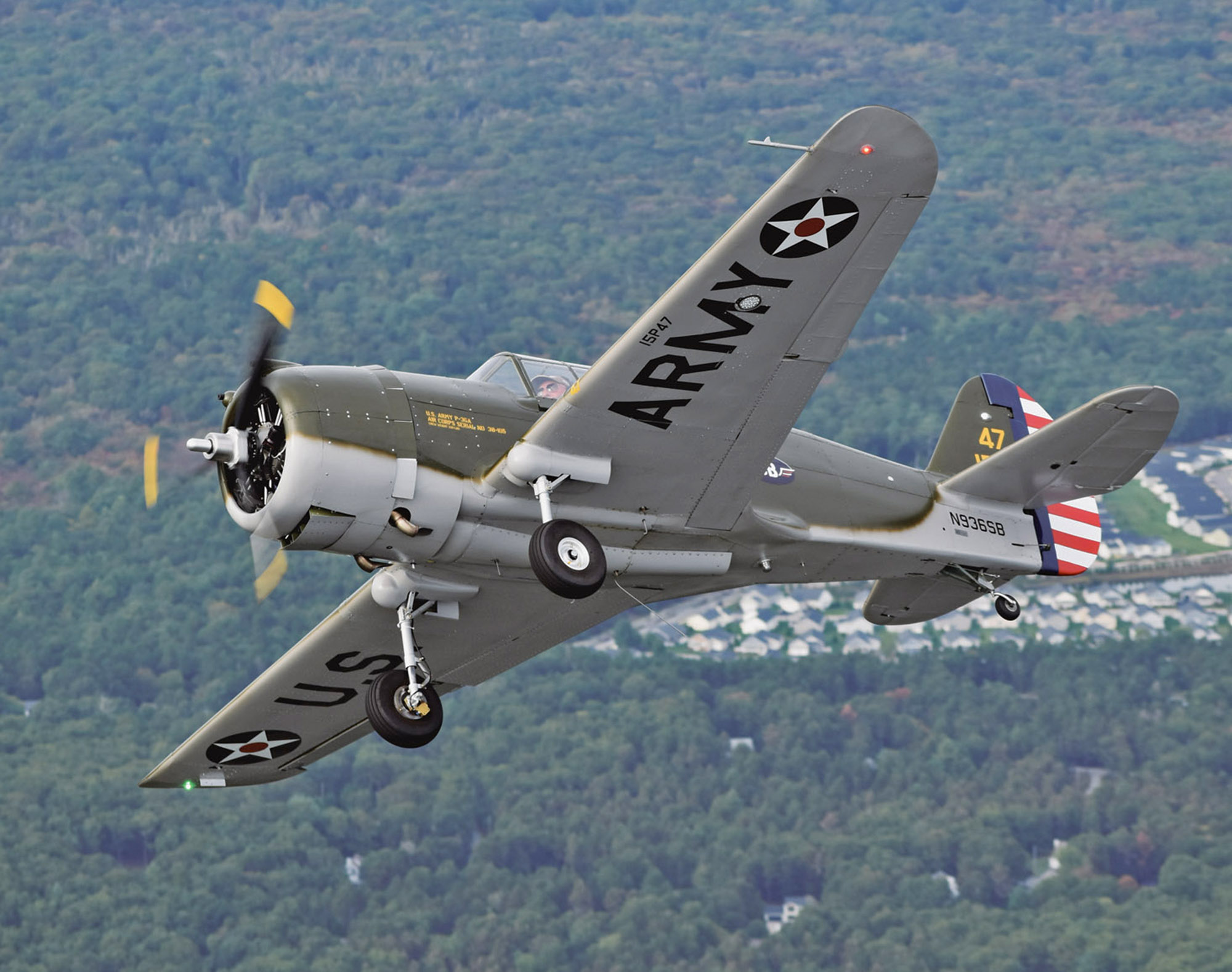 scalebirds p36 hawk 002