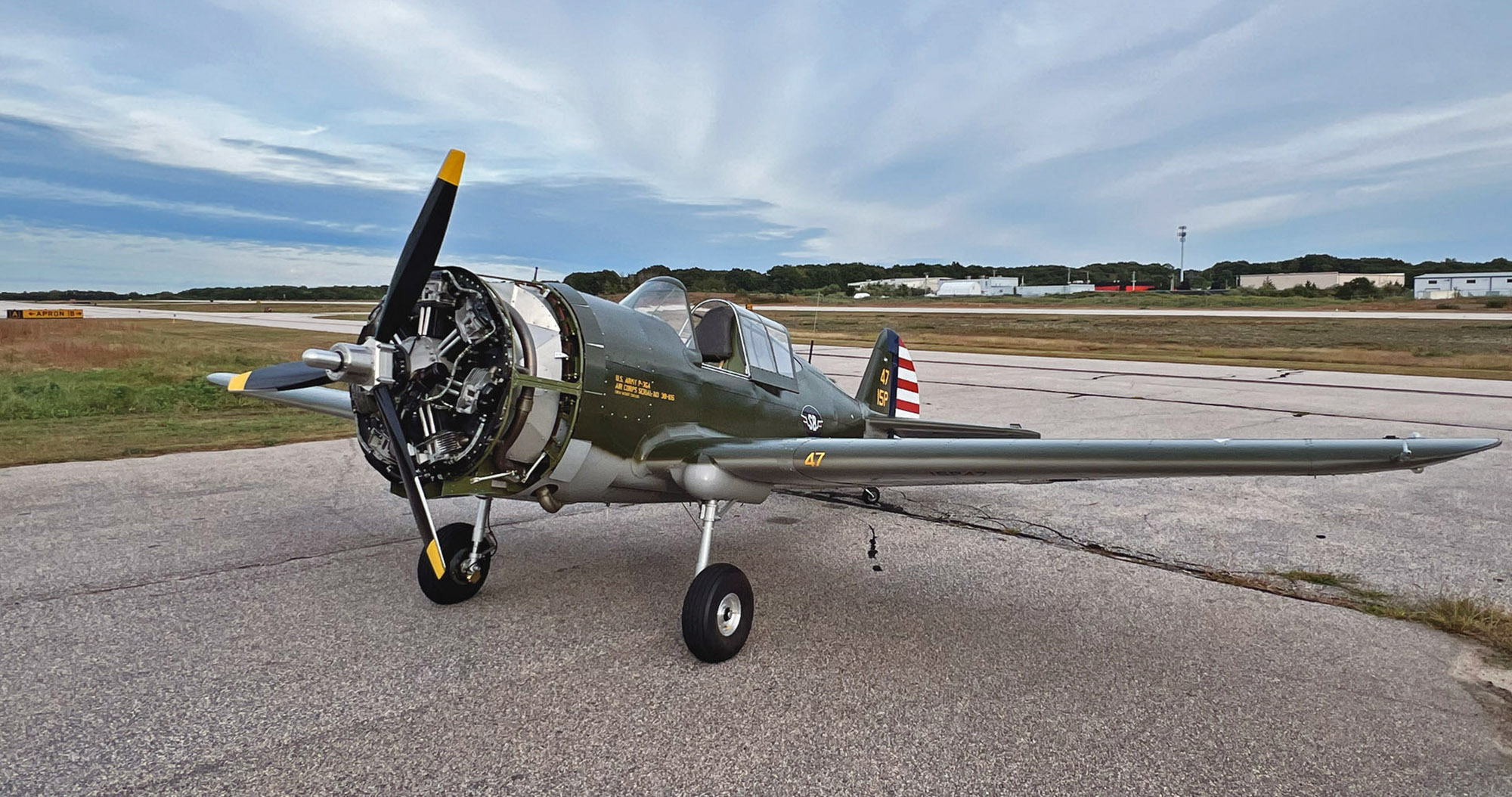 scalebirds p36 hawk 007