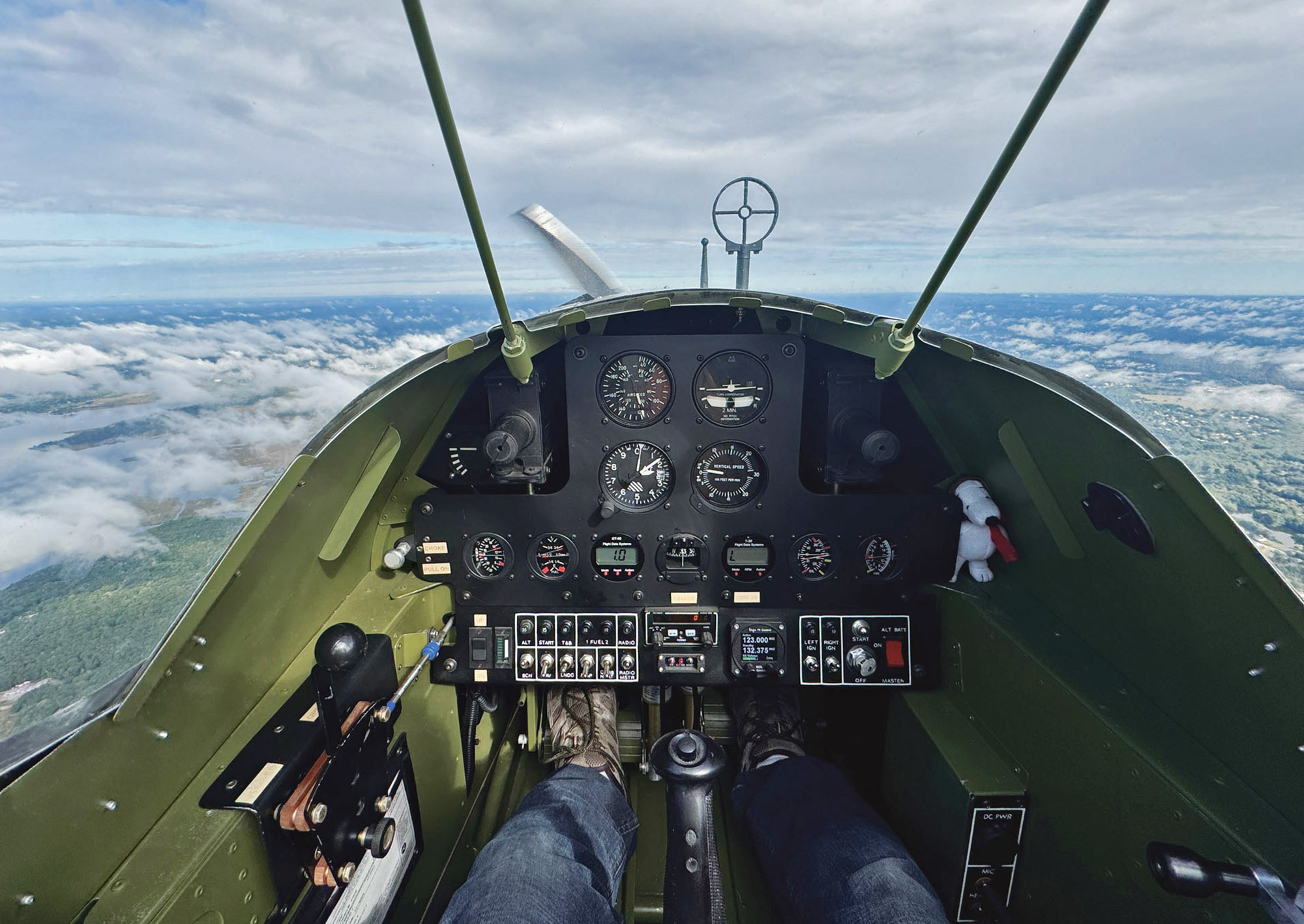 scalebirds p36 hawk 008