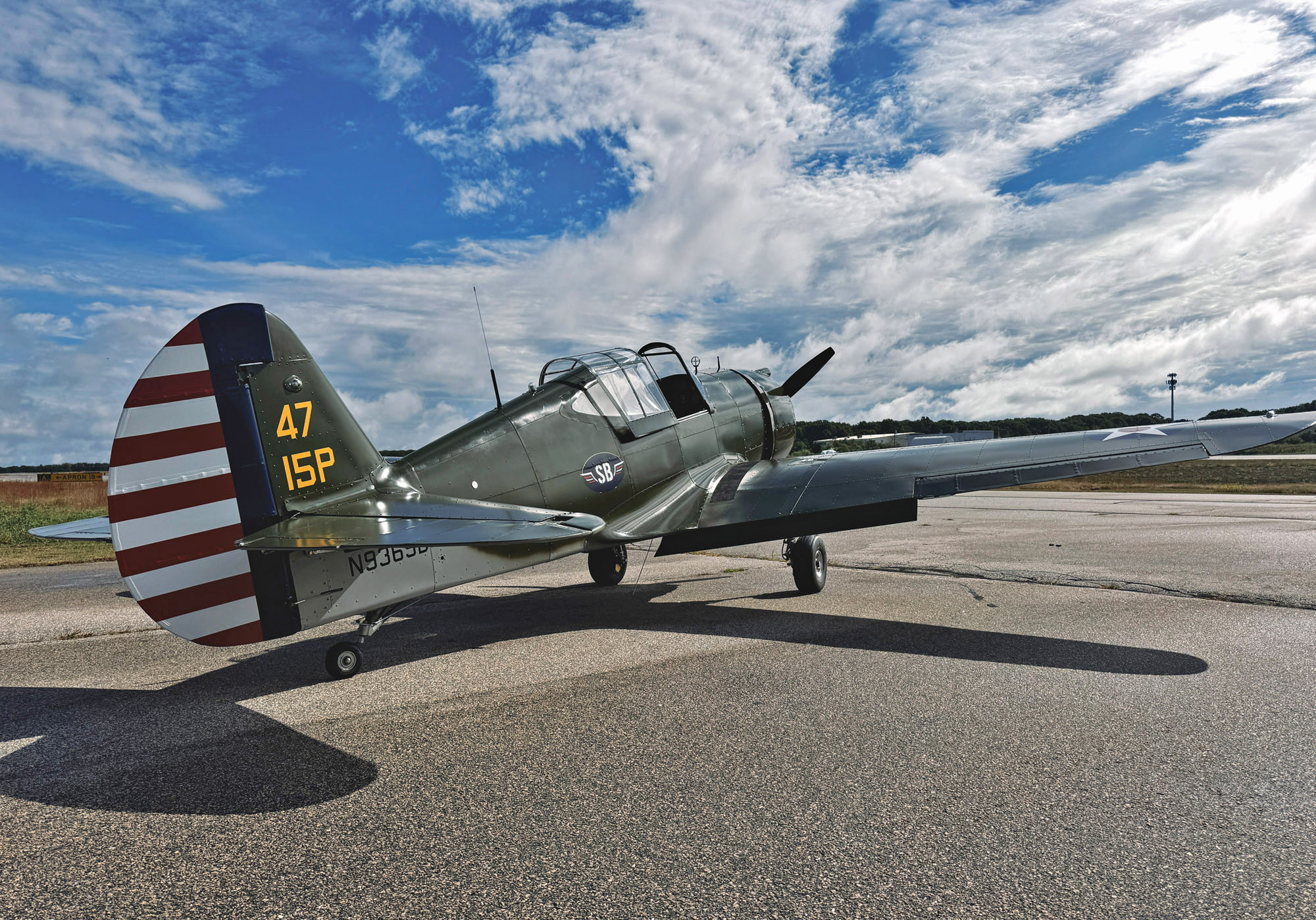 scalebirds p36 hawk 009