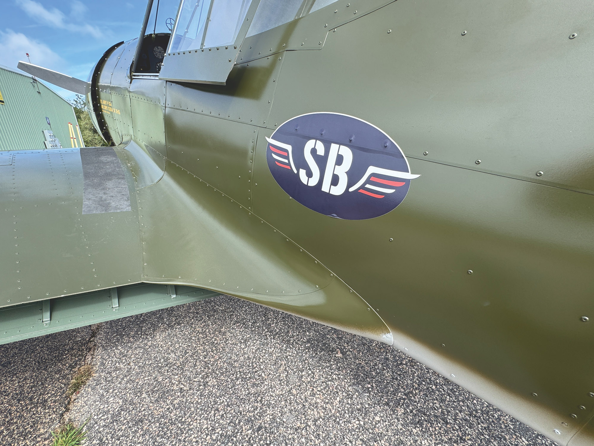 scalebirds p36 hawk 011