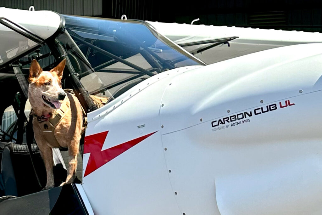 Carbon Cub UL
